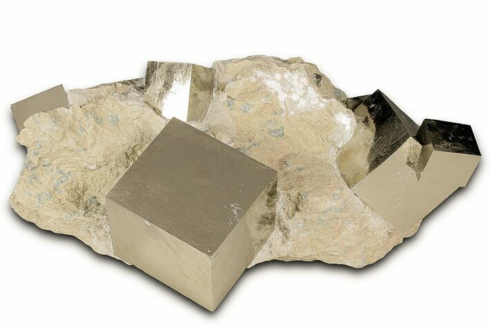 Six Lustrous Natural Pyrite Cubes in Rock - Navajun, Spain #325114